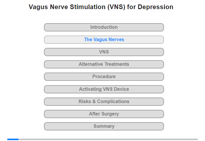 The Vagus Nerves