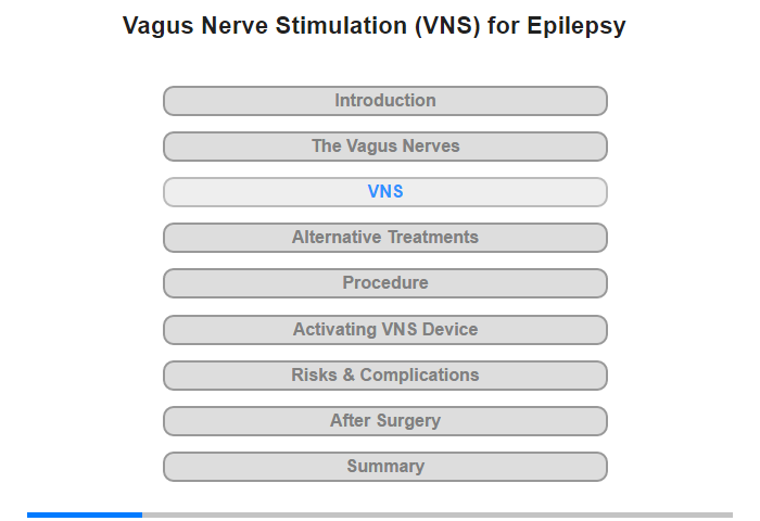 Vagus Nerve Stimulation (VNS)