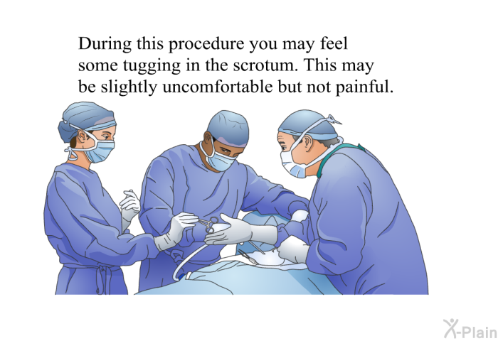 During this procedure you may feel some tugging in the scrotum. This may be slightly uncomfortable but not painful.