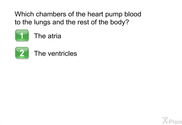 Which chambers of the heart pump blood to the lungs and the rest of the body?