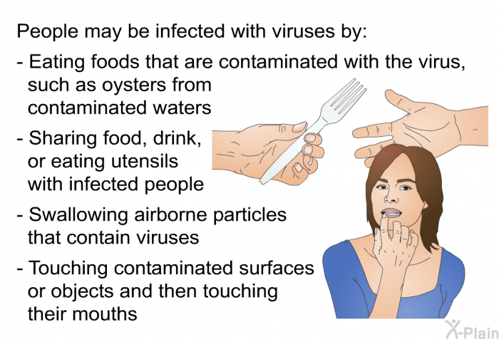People may be infected with viruses by:  Eating foods that are contaminated with the virus, such as oysters from contaminated waters Sharing food, drink, or eating utensils with infected people Swallowing airborne particles that contain viruses Touching contaminated surfaces or objects and then touching their mouths