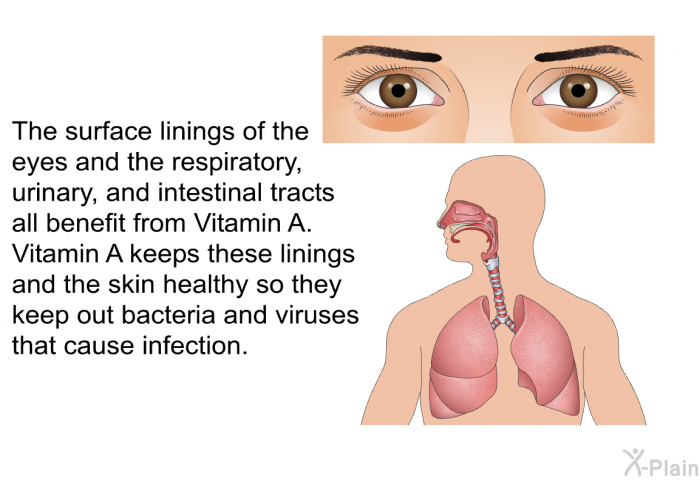 The surface linings of the eyes and the respiratory, urinary, and intestinal tracts all benefit from Vitamin A. Vitamin A keeps these linings and the skin healthy so they keep out bacteria and viruses that cause infection.