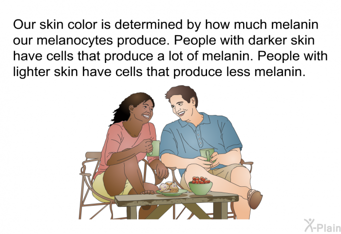 Our skin color is determined by how much melanin our melanocytes produce. People with darker skin have cells that produce a lot of melanin. People with lighter skin have cells that produce less melanin.