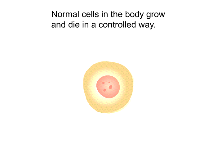 Normal cells in the body grow and die in a controlled way.