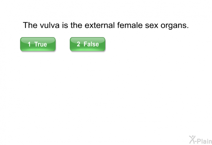 The vulva is the external female sex organs.