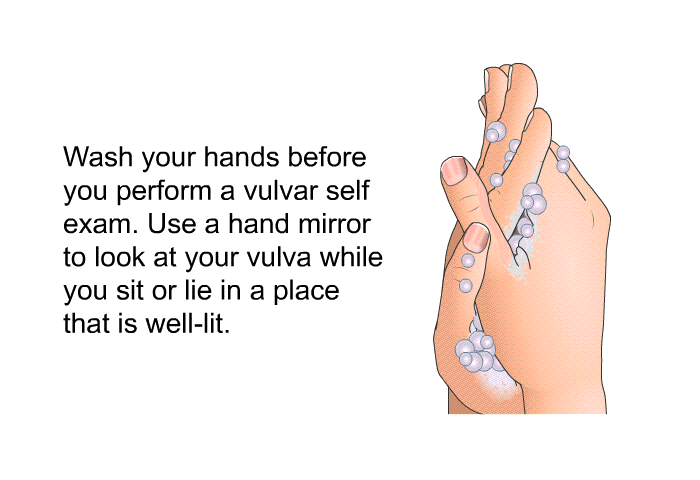 Wash your hands before you perform a vulvar self exam. Use a hand mirror to look at your vulva while you sit or lie in a place that is well-lit.