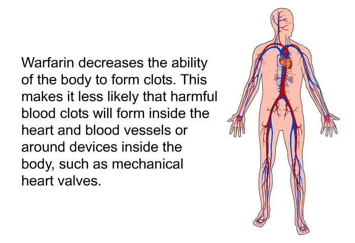 Warfarin decreases the ability of the body to form clots. This makes it less likely that harmful blood clots will form inside the heart and blood vessels or around devices inside the body, such as mechanical heart valves.