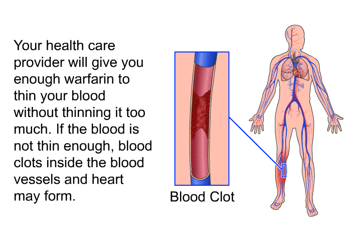 Your health care provider will give you enough warfarin to thin your blood without thinning it too much. If the blood is not thin enough, blood clots inside the blood vessels and heart may form.