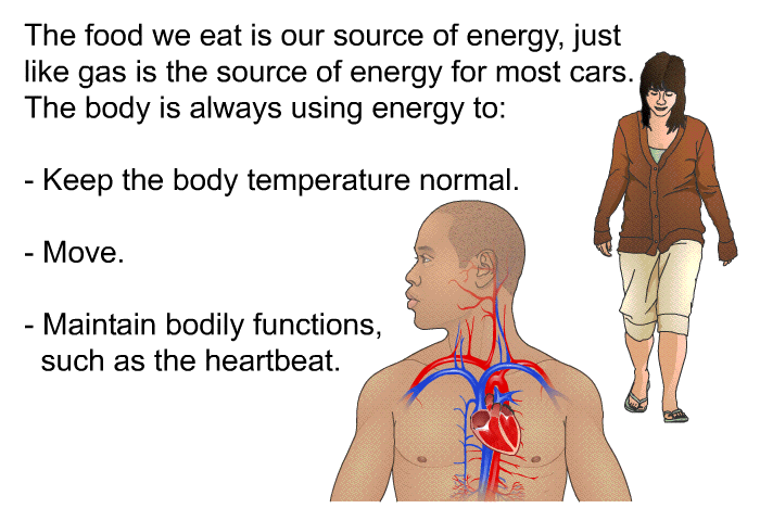 The food we eat is our source of energy, just like gas is the source of energy for most cars. The body is always using energy to:  Keep the body temperature normal. Move. Maintain bodily functions, such as the heartbeat.