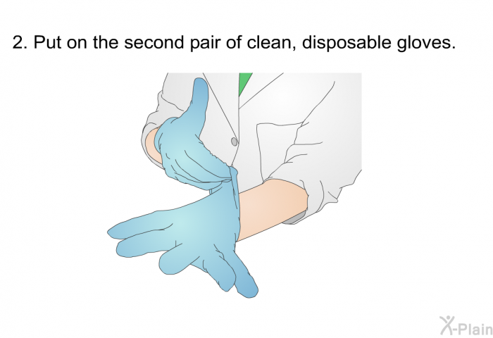 Put on the second pair of clean, disposable gloves.