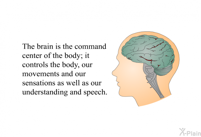 The brain is the command center of the body; it controls the body, our movements and our sensations as well as our understanding and speech.