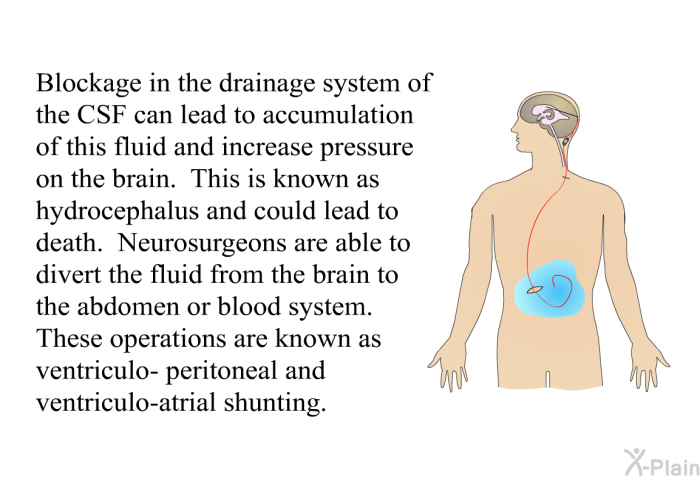 Blockage in the drainage system of the CSF can lead to accumulation of this fluid and increase pressure on the brain. This is known as hydrocephalus and could lead to death. Neurosurgeons are able to divert the fluid from the brain to the abdomen or blood system. These operations are known as ventriculo- peritoneal and ventriculo-atrial shunting.