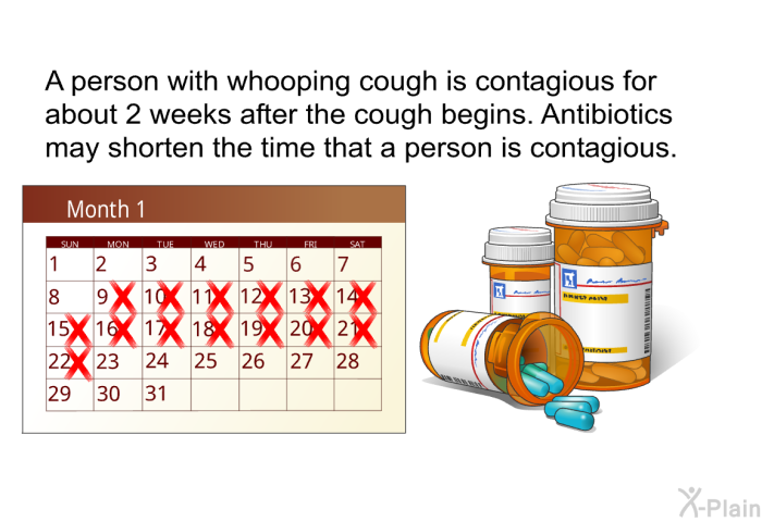 A person with whooping cough is contagious for about 2 weeks after the cough begins. Antibiotics may shorten the time that a person is contagious.