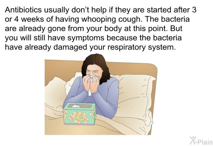 Antibiotics usually don't help if they are started after 3 or 4 weeks of having whooping cough. The bacteria are already gone from your body at this point. But you will still have symptoms because the bacteria have already damaged your respiratory system.