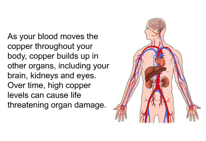 As your blood moves the copper throughout your body, copper builds up in other organs, including your brain, kidneys and eyes. Over time, high copper levels can cause life threatening organ damage.