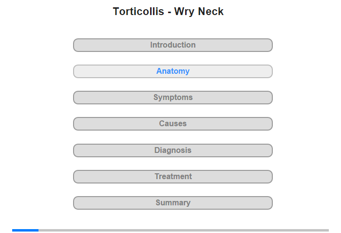 Anatomy of the Neck