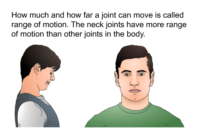 How much and how far a joint can move is called range of motion. The neck joints have more range of motion than other joints in the body.