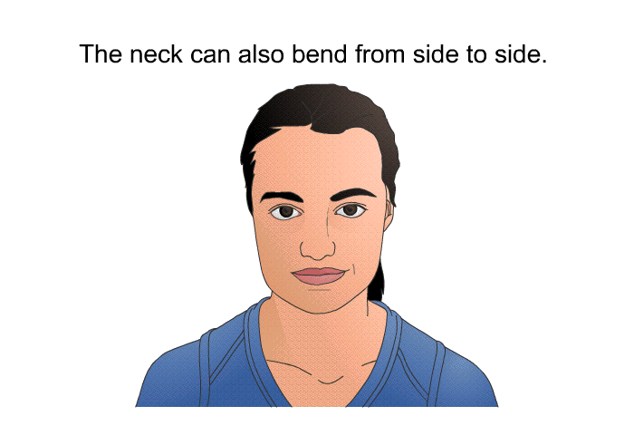 The neck can also bend from side to side.