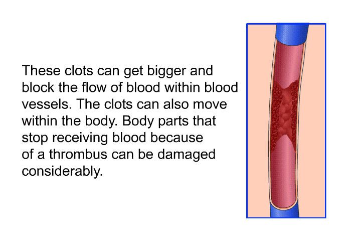 These clots can get bigger and block the flow of blood within blood vessels. The clots can also move within the body. Body parts that stop receiving blood because of a thrombus can be damaged considerably.