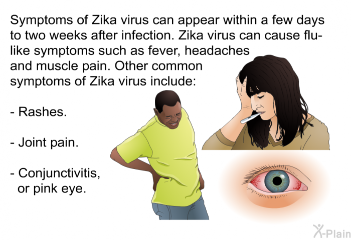 Symptoms of Zika virus can appear within a few days to two weeks after infection. Zika virus can cause flu-like symptoms such as fever, headaches and muscle pain. Other common symptoms of Zika virus include:  Rashes. Joint pain. Conjunctivitis, or pink eye.