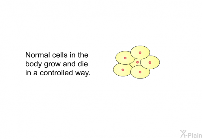 Normal cells in the body grow and die in a controlled way.