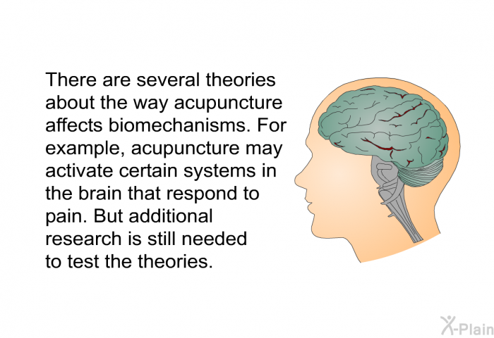 There are several theories about the way acupuncture affects biomechanisms. For example, acupuncture may activate certain systems in the brain that respond to pain. But additional research is still needed to test the theories.