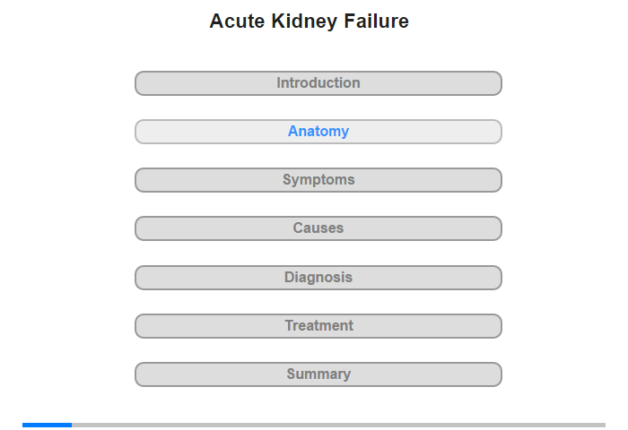 Anatomy of the Kidneys