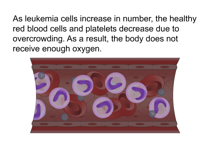 As leukemia cells increase in number, the healthy red blood cells and platelets decrease due to overcrowding. As a result, the body does not receive enough oxygen.