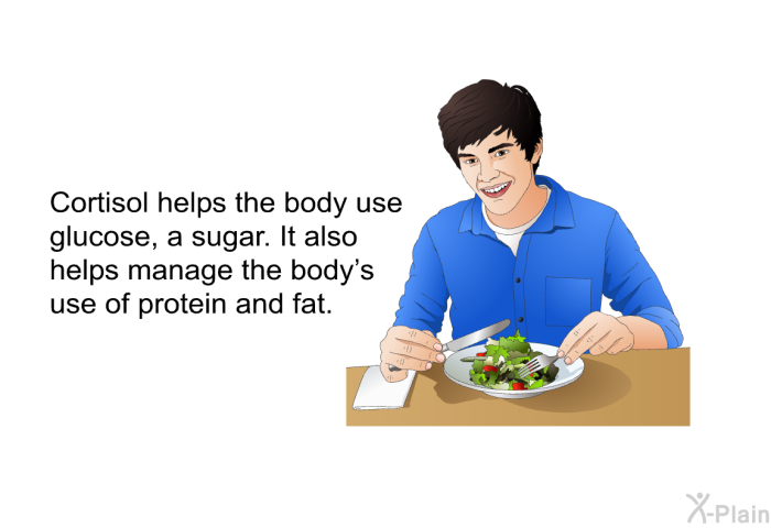 Cortisol helps the body use glucose, a sugar. It also helps manage the body’s use of protein and fat.