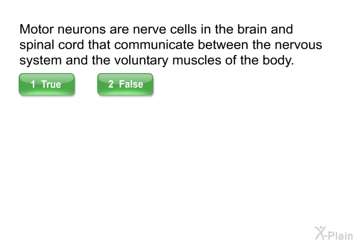 Motor neurons are nerve cells in the brain and spinal cord that communicate between the nervous system and the voluntary muscles of the body.