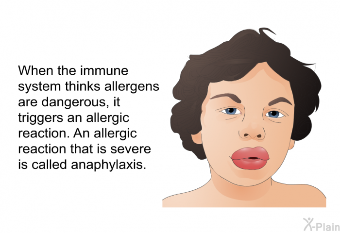When the immune system thinks allergens are dangerous, it triggers an allergic reaction. An allergic reaction that is severe is called anaphylaxis.