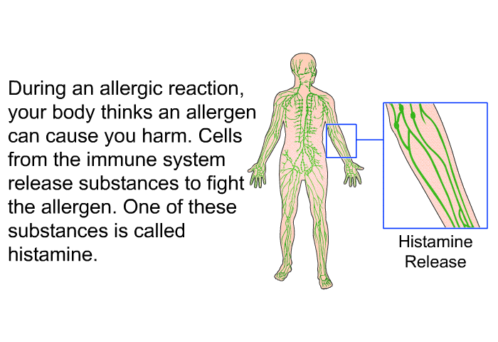 During an allergic reaction, your body thinks an allergen can cause you harm. Cells from the immune system release substances to fight the allergen. One of these substances is called histamine.