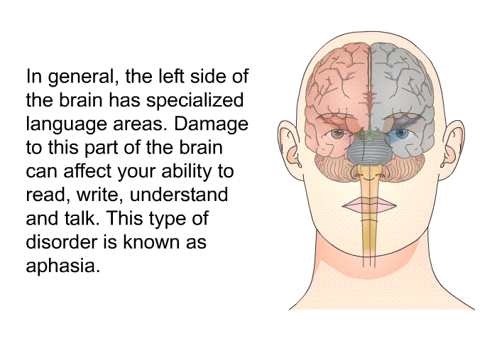In general, the left side of the brain has specialized language areas. Damage to this part of the brain can affect your ability to read, write, understand and talk. This type of disorder is known as aphasia.