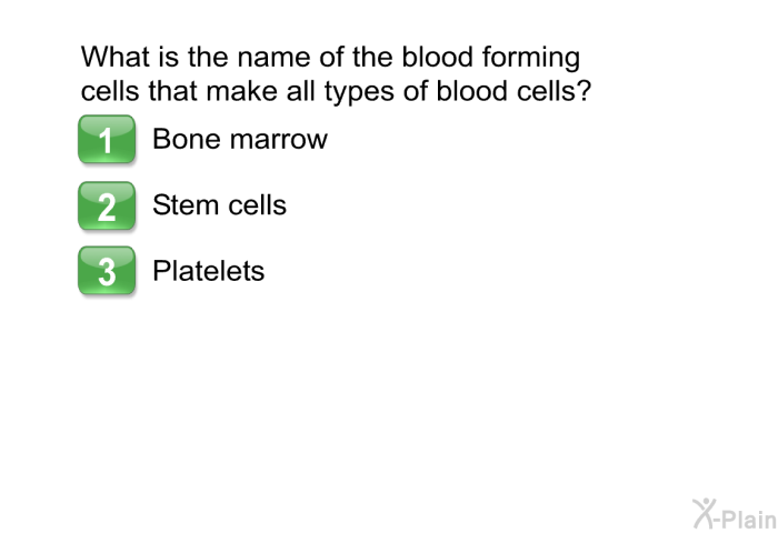 What is the name of the blood forming cells that make all types of blood cells?  Bone marrow Stem cells Platelets