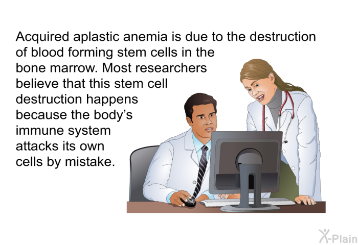 Acquired aplastic anemia is due to the destruction of blood forming stem cells in the bone marrow. Most researchers believe that this stem cell destruction happens because the body's immune system attacks its own cells by mistake.