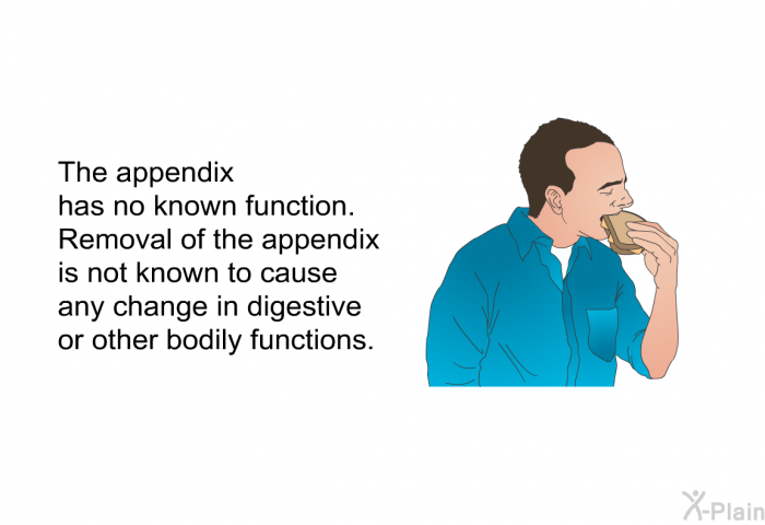 The appendix has no known function. Removal of the appendix is not known to cause any change in digestive or other bodily functions.