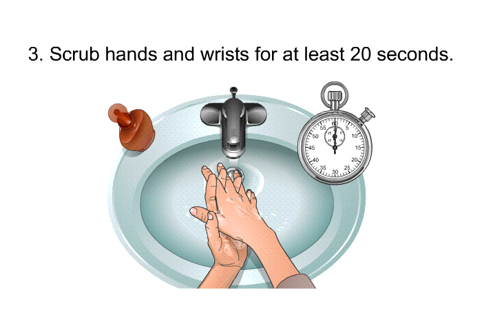 Scrub hands and wrists for at least 20 seconds.