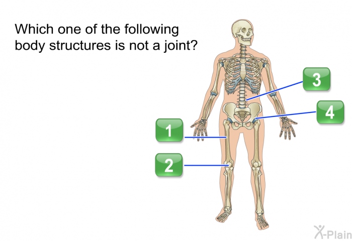 Which one of the following body structures is not a joint? Press True or False.