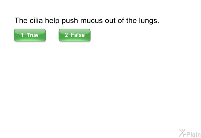 The cilia help push mucus out of the lungs.