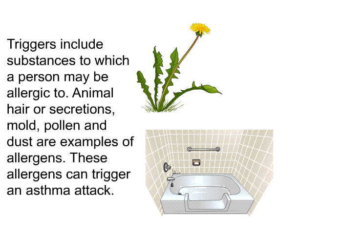 Triggers include substances to which a person may be allergic to. Animal hair or secretions, mold, pollen and dust are examples of allergens. These allergens can trigger an asthma attack.