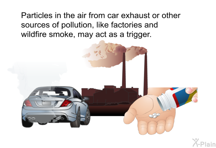 Particles in the air from car exhaust or other sources of pollution, like factories and wildfire smoke, may act as a trigger.