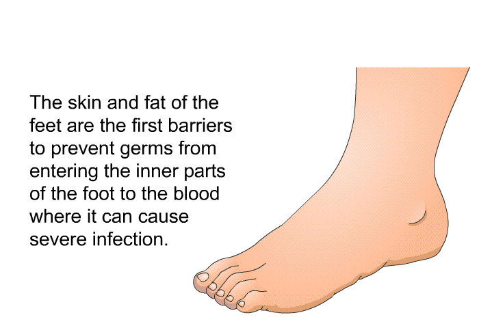 The skin and fat of the feet are the first barriers to prevent germs from entering the inner parts of the foot to the blood where it can cause severe infection.