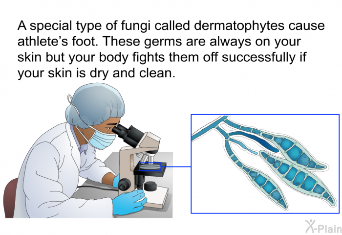A special type of fungi called dermatophytes cause athlete's foot. These germs are always on your skin but your body fights them off successfully if your skin is dry and clean.