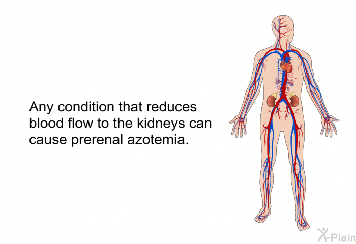 Any condition that reduces blood flow to the kidneys can cause prerenal azotemia.