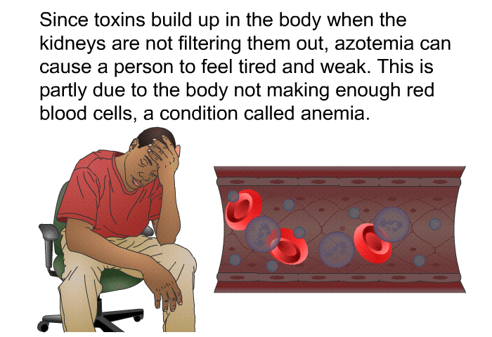 Since toxins build up in the body when the kidneys are not filtering them out, azotemia can cause a person to feel tired and weak. This is partly due to the body not making enough red blood cells, a condition called anemia.