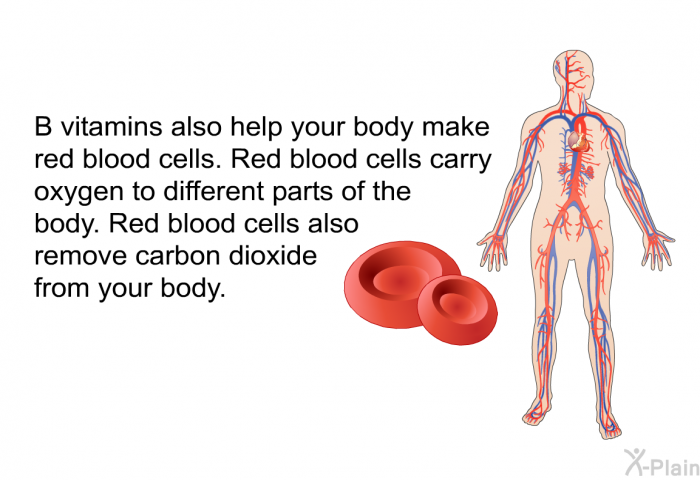 B vitamins also help your body make red blood cells. Red blood cells carry oxygen to different parts of the body. Red blood cells also remove carbon dioxide from your body.