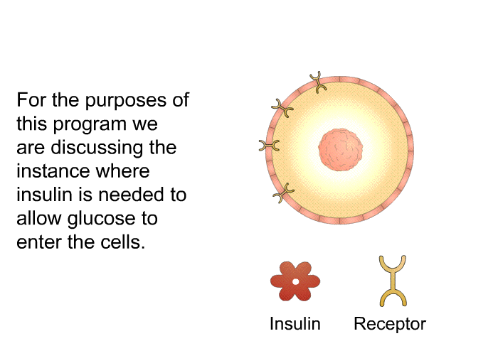 For the purposes of this health information we are discussing the instance where insulin is needed to allow glucose to enter the cells.