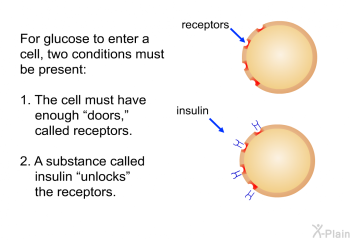 For glucose to enter a cell, two conditions must be present:  The cell must have enough “doors,” called receptors. A substance called insulin “unlocks” the receptors.
