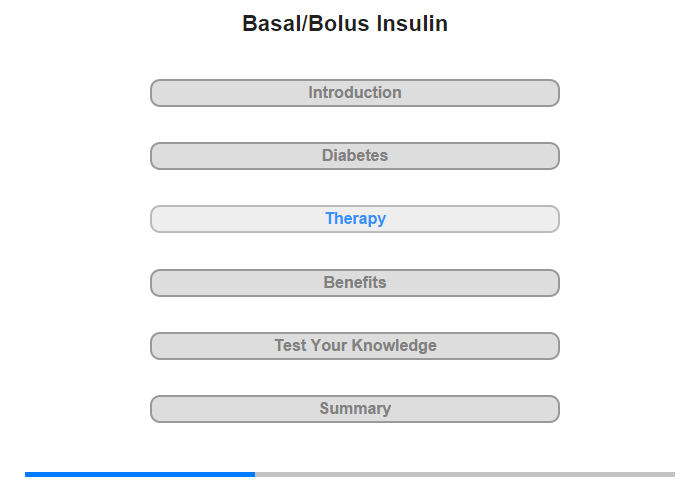 Basal/Bolus Insulin Therapy
