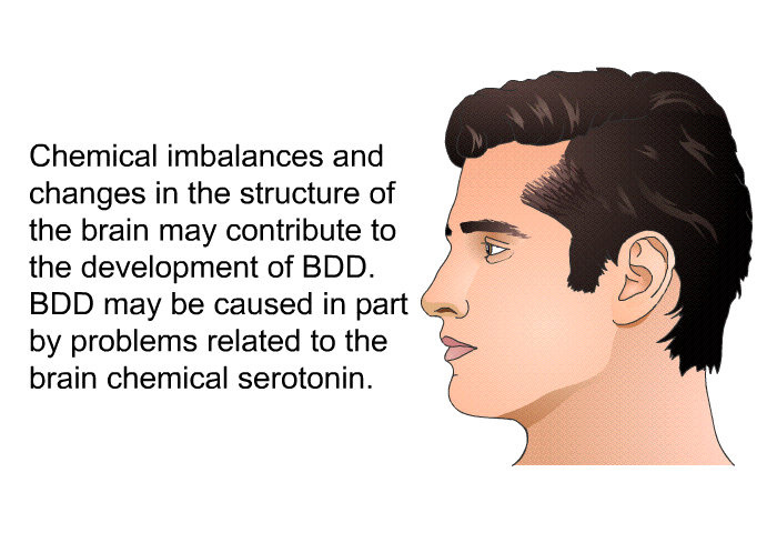 Chemical imbalances and changes in the structure of the brain may contribute to the development of BDD. BDD may be caused in part by problems related to the brain chemical serotonin.